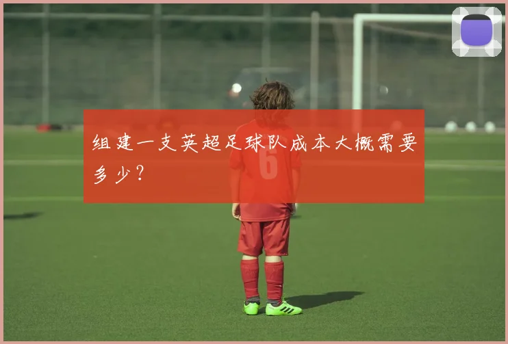 组建一支英超足球队成本大概需要多少?