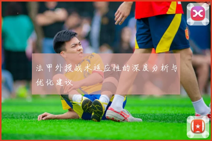 法甲外援战术适应性的深度分析与优化建议