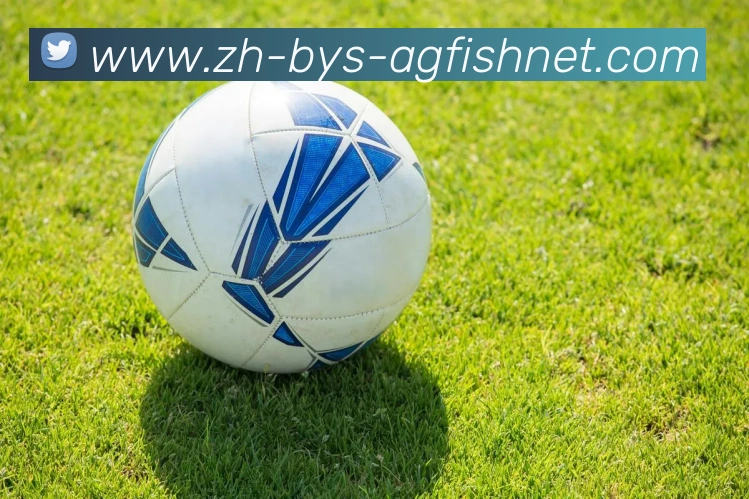 为什么CBA球迷会说“足球才是第一运动”？