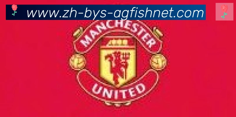 AG捕鱼王官网合作伙伴