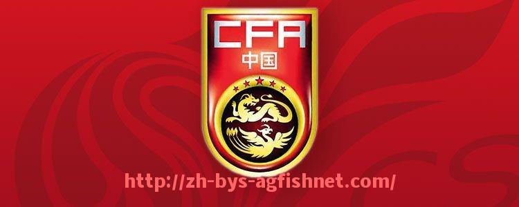 AG捕鱼王官网-世俱杯场地轮换制度设计及多地联办保障机制